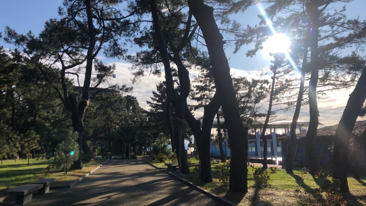 Hotel Palermo Kobuleti Kültér fotó